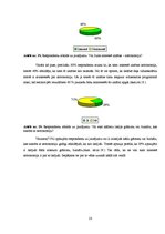 Referāts 'Zvaigznes evolūcija', 25.