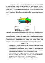 Referāts 'Zvaigznes evolūcija', 29.