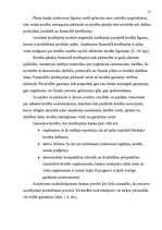 Referāts 'Uzņēmuma finanšu avoti', 12.