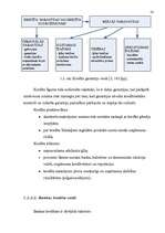 Referāts 'Uzņēmuma finanšu avoti', 13.