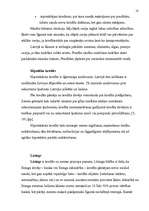 Referāts 'Uzņēmuma finanšu avoti', 17.