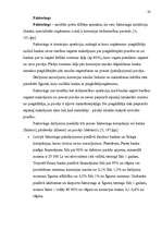 Referāts 'Uzņēmuma finanšu avoti', 19.