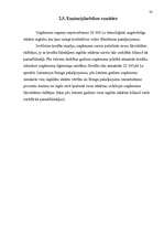 Referāts 'Uzņēmuma finanšu avoti', 32.