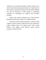 Referāts 'Darba vadīšana', 13.