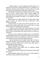 Referāts 'Komersanta uzņēmums kā civiltiesību objekts', 18.