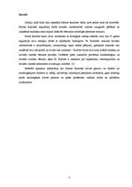 Referāts 'Marta Rudzīte', 3.