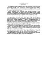 Referāts 'Vīnes pieminekļi', 7.