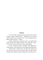 Prakses atskaite 'Aktīvā mācību un audzināšanas prakse pirmsskolā', 1.