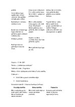 Prakses atskaite 'Aktīvā mācību un audzināšanas prakse pirmsskolā', 20.