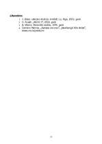 Referāts 'Situāciju analīze', 14.