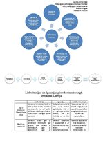 Konspekts 'Mentora darbības definīcijas. Igaunijas un Lielbritānijas pieredze. Ieteikumi La', 2.