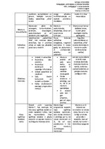 Konspekts 'Mentora darbības definīcijas. Igaunijas un Lielbritānijas pieredze. Ieteikumi La', 3.