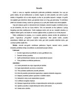 Referāts 'Grafiti novēršanas pasākumi Jelgavā, piesaistot aktīvu jauniešu līdzdalību', 2.