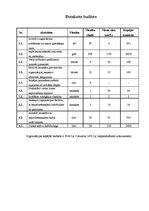 Referāts 'Grafiti novēršanas pasākumi Jelgavā, piesaistot aktīvu jauniešu līdzdalību', 5.