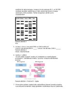Konspekts 'Pārbaudes darbs DNS noslēpumi', 2.