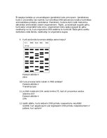 Konspekts 'Pārbaudes darbs DNS noslēpumi', 4.