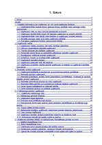 Prakses atskaite 'Prakses pārskats SIA "Grifs AG"', 3.