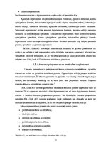 Prakses atskaite 'Prakses pārskats SIA "Grifs AG"', 15.