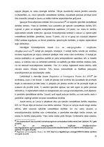 Referāts 'Cilvēktiesību ievērošana, veicot speciālās izmeklēšanas darbības kriminālprocesā', 23.