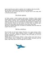 Referāts 'Putni', 3.