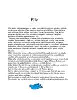 Referāts 'Putni', 4.