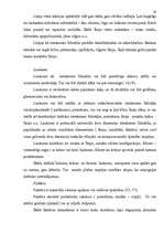 Diplomdarbs 'Kompozīciju principu izmantošana', 19.