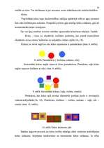 Diplomdarbs 'Kompozīciju principu izmantošana', 20.