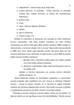 Diplomdarbs 'Kompozīciju principu izmantošana', 31.