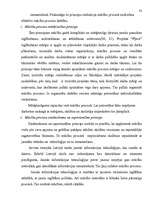 Diplomdarbs 'Kompozīciju principu izmantošana', 33.