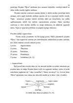 Diplomdarbs 'Kompozīciju principu izmantošana', 42.