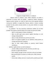 Diplomdarbs 'Kompozīciju principu izmantošana', 51.