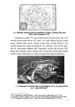 Referāts 'Daugavgrīvas cietoksnis kā Rīgas kultūrvides sastāvdaļa - vides zinātniskais izv', 8.