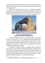 Referāts 'Daugavgrīvas cietoksnis kā Rīgas kultūrvides sastāvdaļa - vides zinātniskais izv', 10.