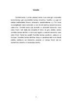 Referāts 'Centrālā banka', 2.