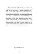 Referāts 'Centrālā banka', 19.