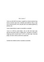 Referāts 'Cukurs', 3.