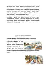 Referāts 'Cukurs', 5.