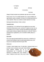 Referāts 'Cukurs', 9.