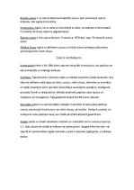 Referāts 'Cukurs', 11.