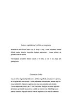 Referāts 'Cukurs', 12.