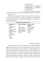 Prakses atskaite 'Mārketinga prakses atskaite', 6.