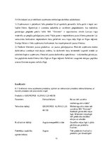 Prakses atskaite 'Mārketinga prakses atskaite', 13.