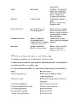 Prakses atskaite 'Mārketinga prakses atskaite', 14.