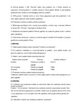 Prakses atskaite 'Mārketinga prakses atskaite', 16.