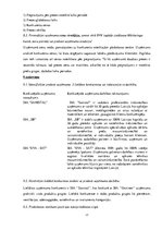 Prakses atskaite 'Mārketinga prakses atskaite', 17.