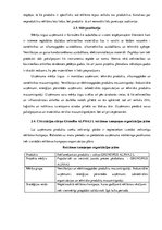 Prakses atskaite 'Mārketinga prakses atskaite', 24.