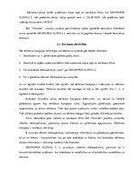 Prakses atskaite 'Mārketinga prakses atskaite', 26.