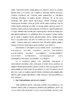 Konspekts 'Patstāvīgais darbs Komercdarījumos', 10.