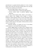 Konspekts 'Patstāvīgais darbs Komercdarījumos', 13.