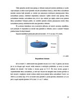 Diplomdarbs 'Sociālais darbs ar sociālā riska ģimenēm ar bērniem', 29.